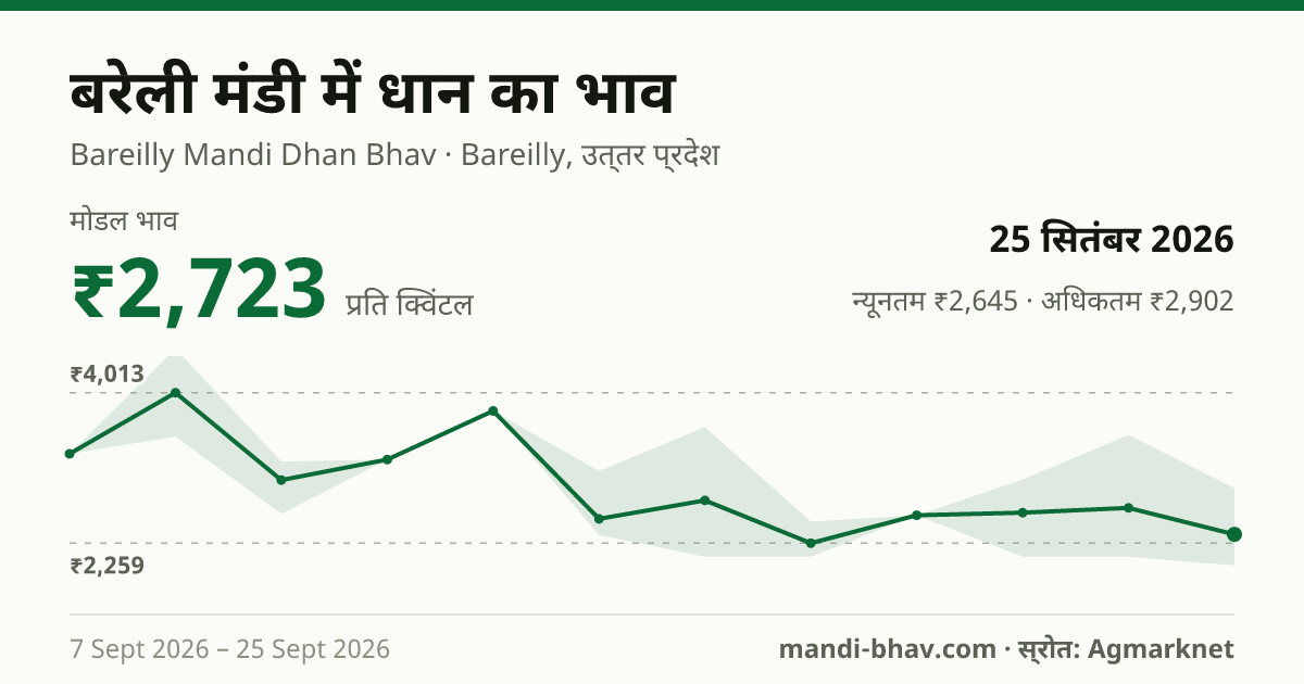 बरेली मंडी में धान का भाव 25 सितंबर 2026: मोडल ₹2,723 प्रति क्विंटल, भाव के रुझान का चार्ट