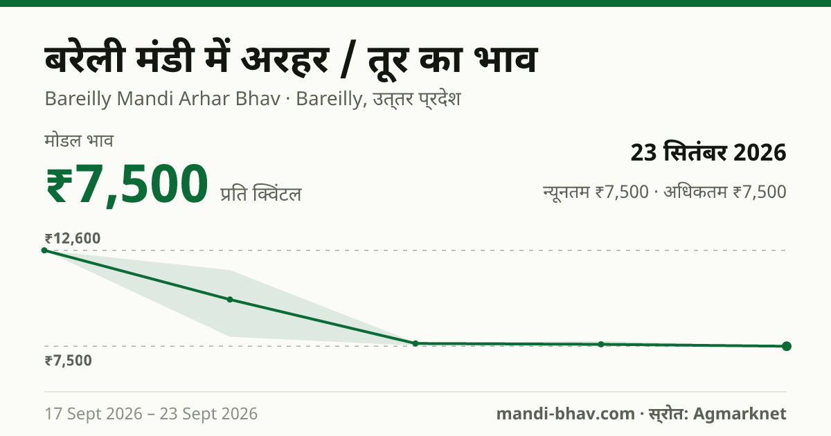 बरेली मंडी में अरहर / तूर का भाव 23 सितंबर 2026: मोडल ₹7,500 प्रति क्विंटल, भाव के रुझान का चार्ट