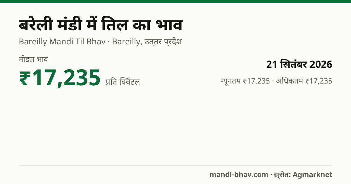 बरेली मंडी में तिल का भाव 21 सितंबर 2026: मोडल ₹17,235 प्रति क्विंटल, भाव के रुझान का चार्ट