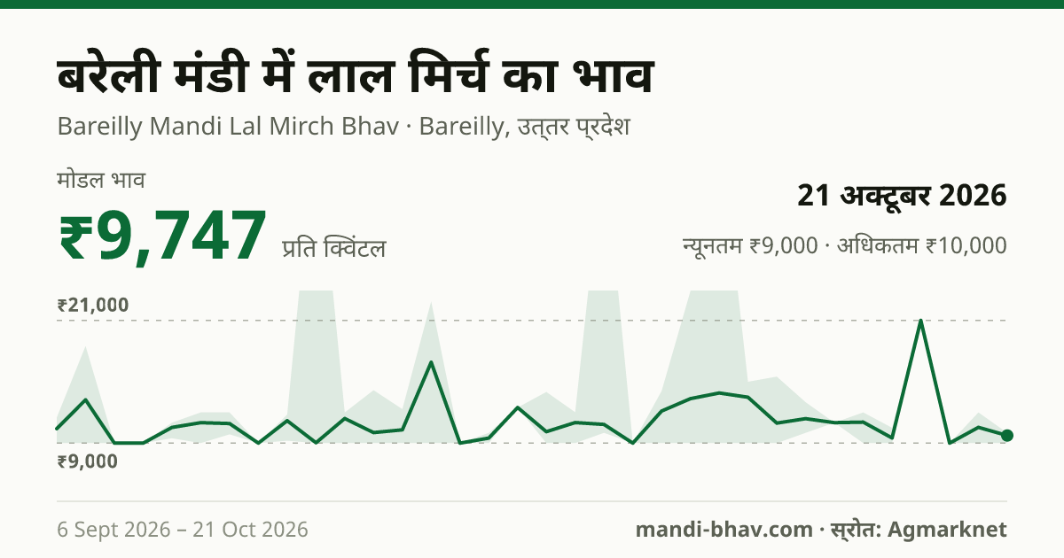 बरेली मंडी में लाल मिर्च का भाव 21 अक्टूबर 2026: मोडल ₹9,747 प्रति क्विंटल, भाव के रुझान का चार्ट