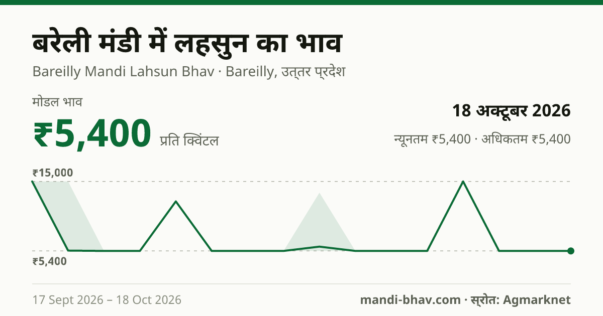 बरेली मंडी में लहसुन का भाव 18 अक्टूबर 2026: मोडल ₹5,400 प्रति क्विंटल, भाव के रुझान का चार्ट