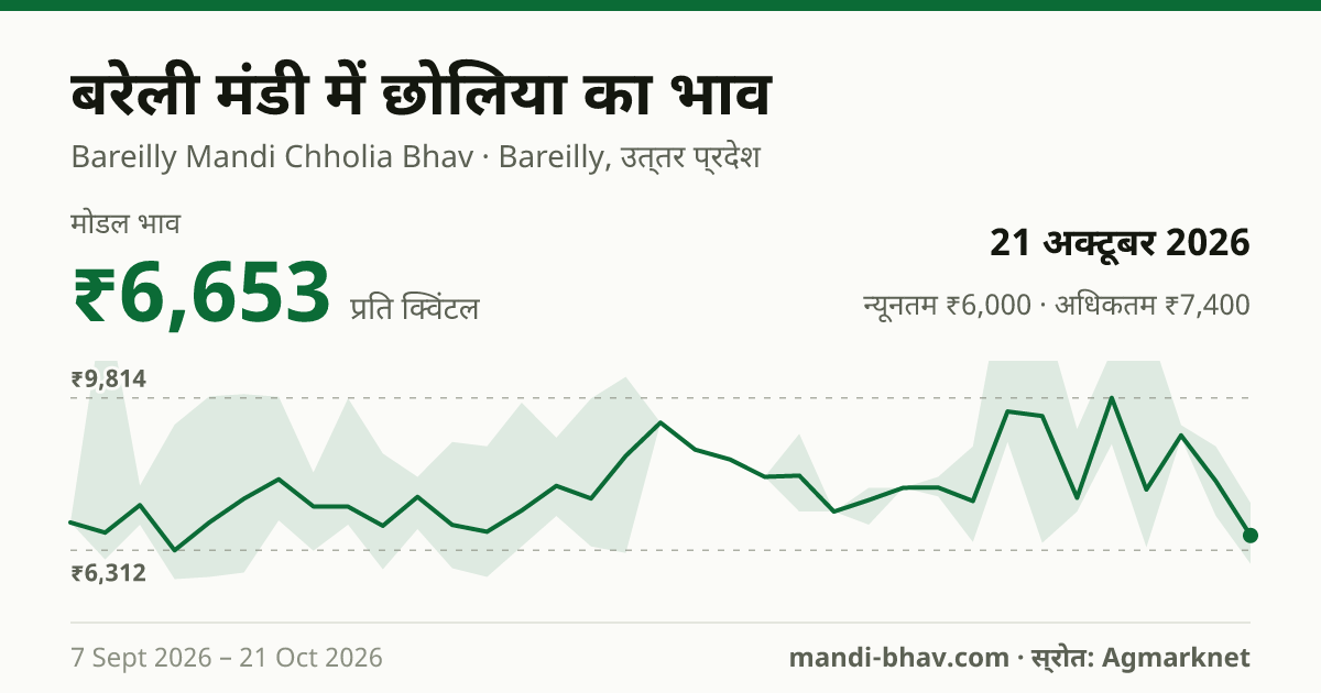 बरेली मंडी में Gram Raw(Chholia) का भाव 21 अक्टूबर 2026: मोडल ₹6,653 प्रति क्विंटल, भाव के रुझान का चार्ट