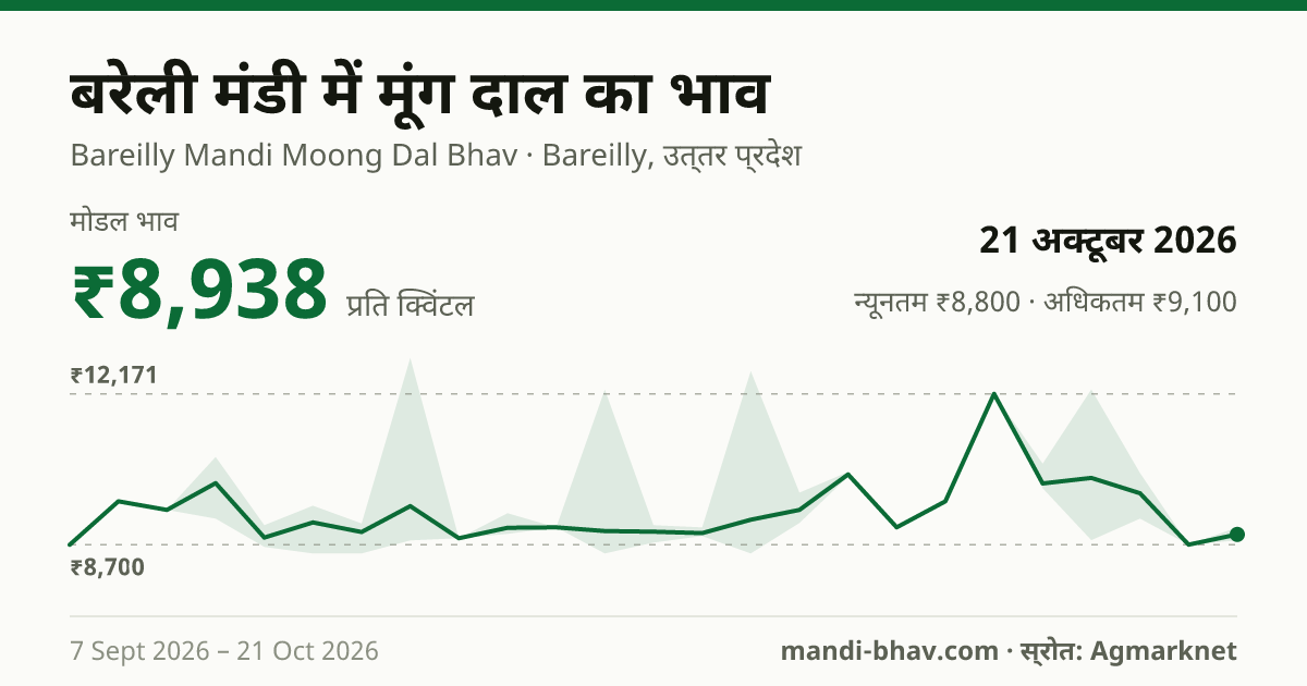 बरेली मंडी में मूंग दाल का भाव 21 अक्टूबर 2026: मोडल ₹8,938 प्रति क्विंटल, भाव के रुझान का चार्ट