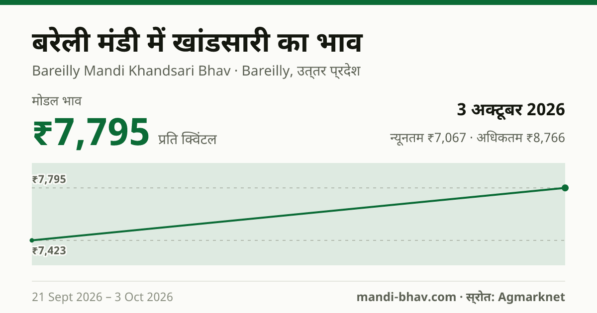बरेली मंडी में Khandsari(Desi Khand) का भाव 3 अक्टूबर 2026: मोडल ₹7,795 प्रति क्विंटल, भाव के रुझान का चार्ट