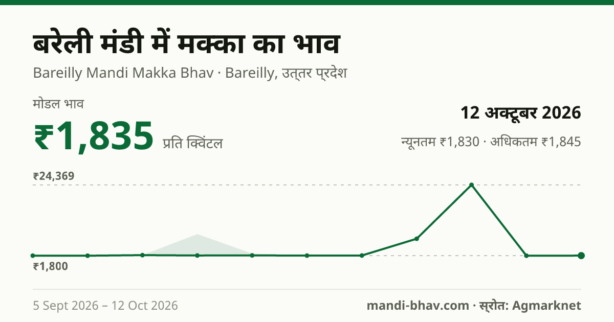 बरेली मंडी में मक्का का भाव 12 अक्टूबर 2026: मोडल ₹1,835 प्रति क्विंटल, भाव के रुझान का चार्ट