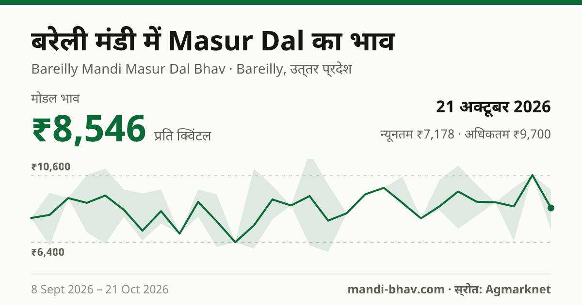 बरेली मंडी में Masur Dal का भाव 21 अक्टूबर 2026: मोडल ₹8,546 प्रति क्विंटल, भाव के रुझान का चार्ट