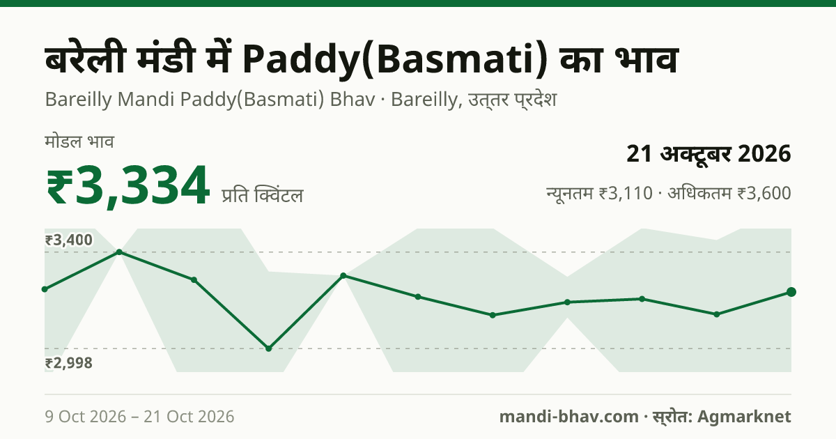 बरेली मंडी में Paddy(Basmati) का भाव 21 अक्टूबर 2026: मोडल ₹3,334 प्रति क्विंटल, भाव के रुझान का चार्ट