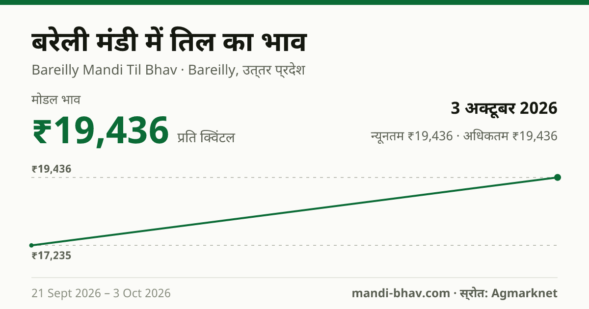 बरेली मंडी में तिल का भाव 3 अक्टूबर 2026: मोडल ₹19,436 प्रति क्विंटल, भाव के रुझान का चार्ट