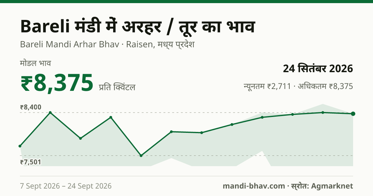Bareli मंडी में अरहर / तूर का भाव 24 सितंबर 2026: मोडल ₹8,375 प्रति क्विंटल, भाव के रुझान का चार्ट