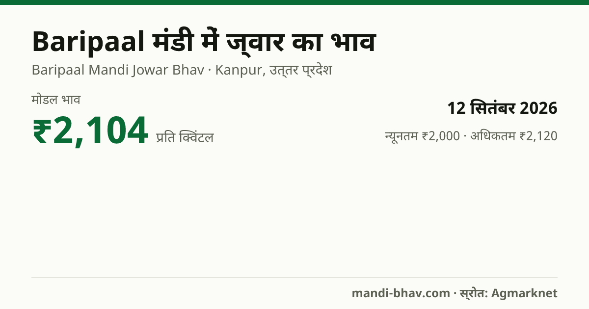 Baripaal मंडी में ज्वार का भाव 12 सितंबर 2026: मोडल ₹2,104 प्रति क्विंटल, भाव के रुझान का चार्ट