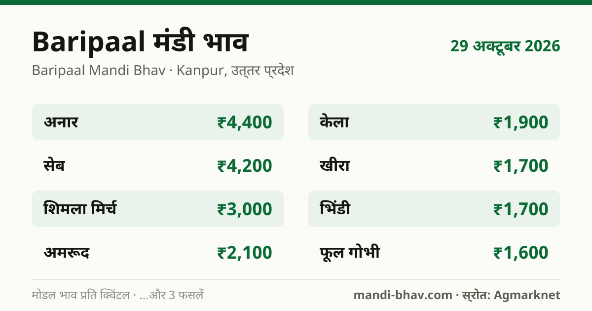Baripaal मंडी भाव 29 अक्टूबर 2026: फसलवार मोडल रेट प्रति क्विंटल