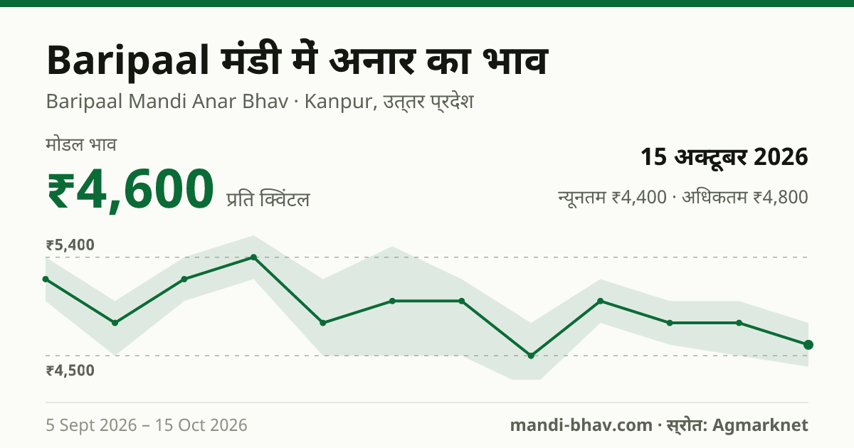 Baripaal मंडी में अनार का भाव 15 अक्टूबर 2026: मोडल ₹4,600 प्रति क्विंटल, भाव के रुझान का चार्ट