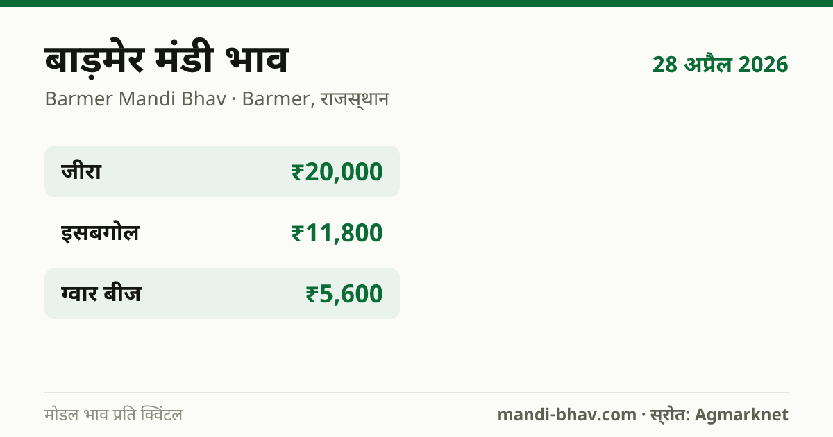 बाड़मेर मंडी भाव 28 अप्रैल 2026: फसलवार मोडल रेट प्रति क्विंटल