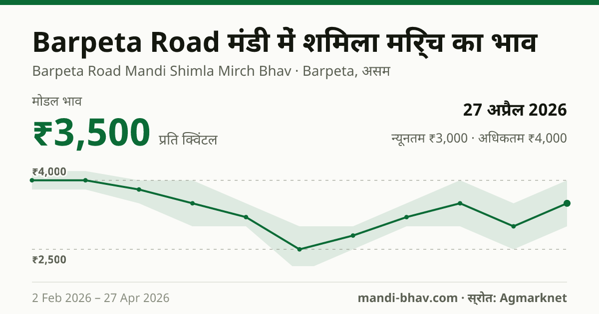 Barpeta Road मंडी में शिमला मिर्च का भाव 27 अप्रैल 2026: मोडल ₹3,500 प्रति क्विंटल, भाव के रुझान का चार्ट