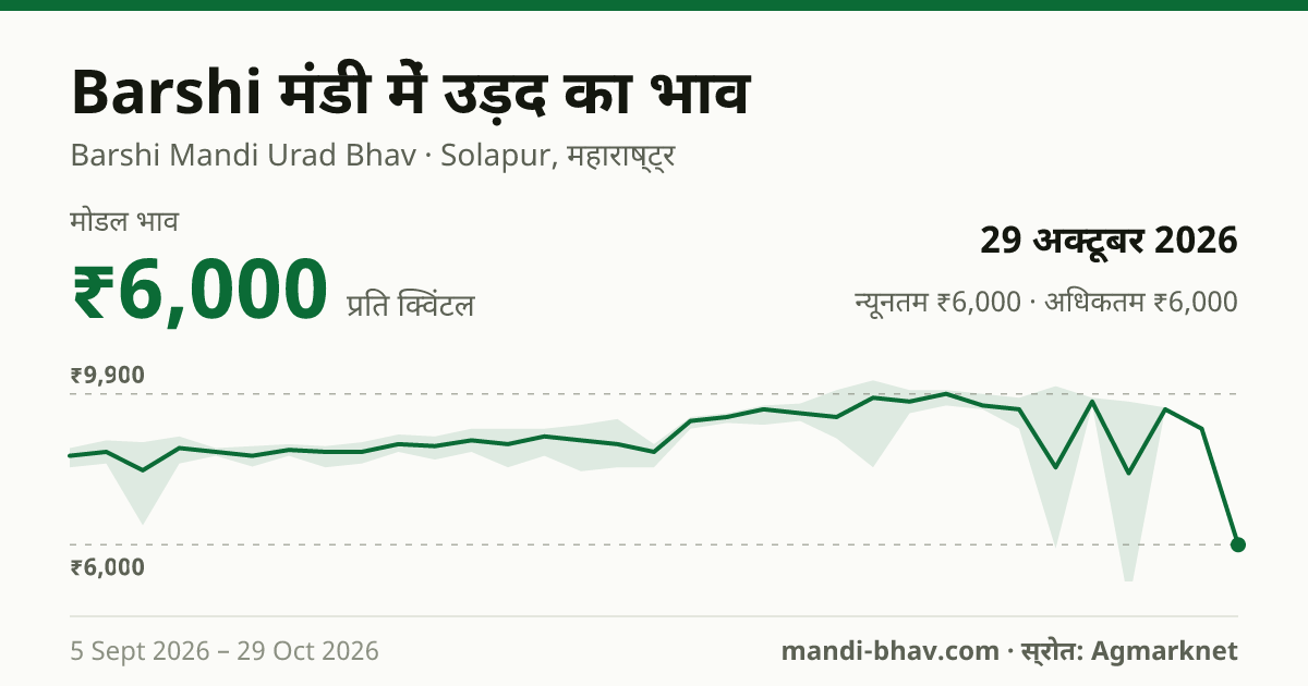Barshi मंडी में उड़द का भाव 29 अक्टूबर 2026: मोडल ₹6,000 प्रति क्विंटल, भाव के रुझान का चार्ट