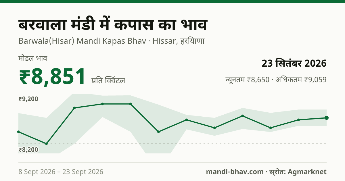 बरवाला मंडी में कपास का भाव 23 सितंबर 2026: मोडल ₹8,851 प्रति क्विंटल, भाव के रुझान का चार्ट