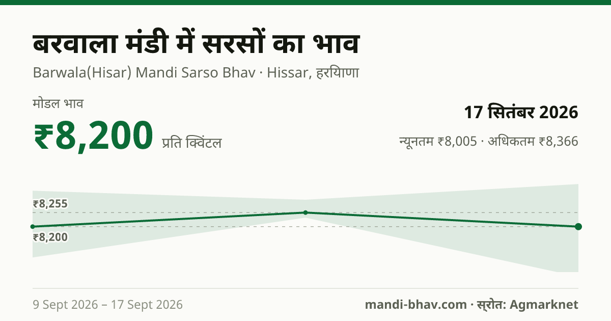 बरवाला मंडी में सरसों का भाव 17 सितंबर 2026: मोडल ₹8,200 प्रति क्विंटल, भाव के रुझान का चार्ट