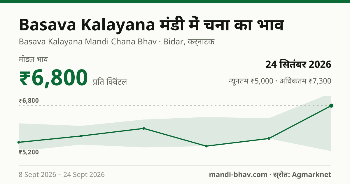 Basava Kalayana मंडी में चना का भाव 24 सितंबर 2026: मोडल ₹6,800 प्रति क्विंटल, भाव के रुझान का चार्ट