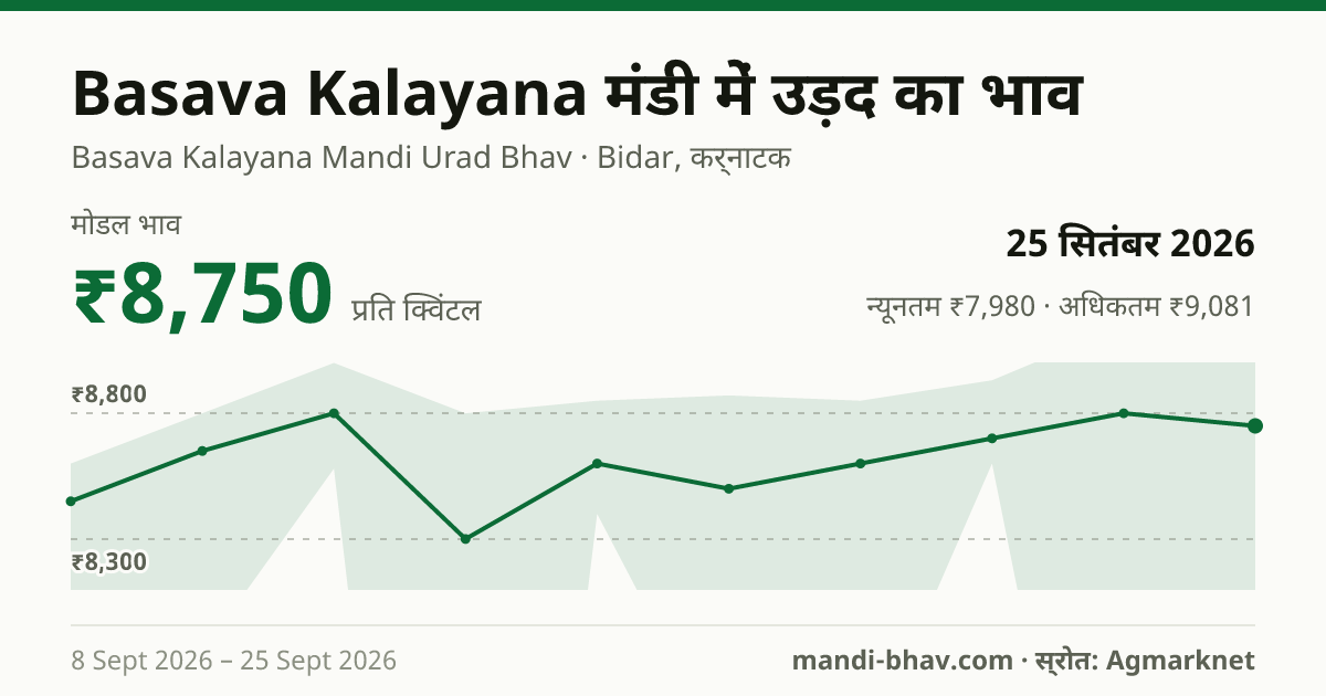 Basava Kalayana मंडी में उड़द का भाव 25 सितंबर 2026: मोडल ₹8,750 प्रति क्विंटल, भाव के रुझान का चार्ट