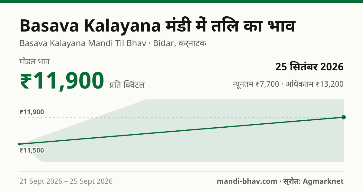 Basava Kalayana मंडी में तिल का भाव 25 सितंबर 2026: मोडल ₹11,900 प्रति क्विंटल, भाव के रुझान का चार्ट