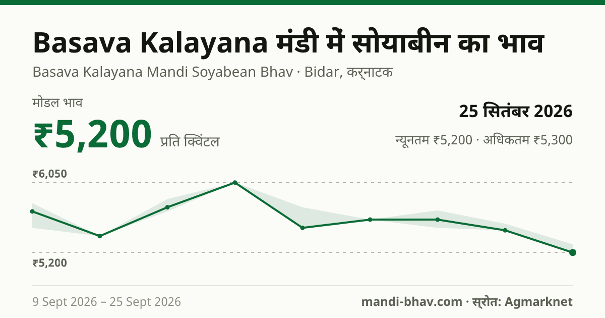 Basava Kalayana मंडी में सोयाबीन का भाव 25 सितंबर 2026: मोडल ₹5,200 प्रति क्विंटल, भाव के रुझान का चार्ट