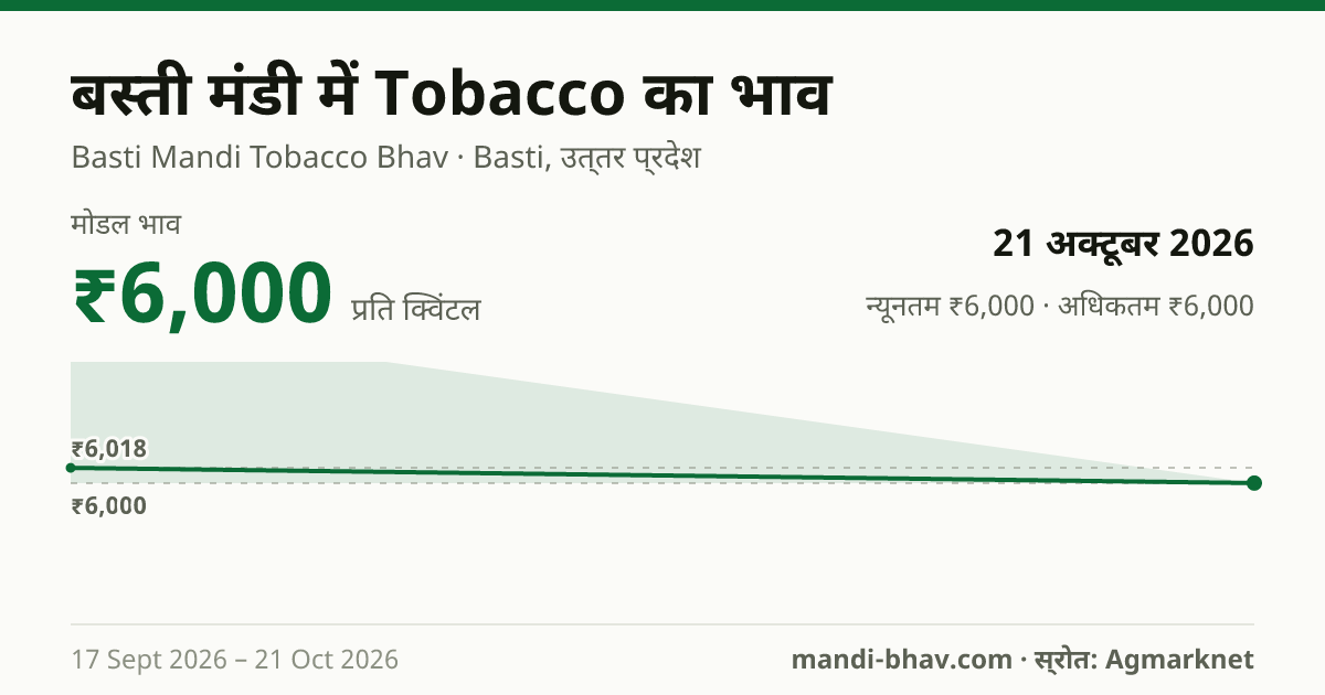 बस्ती मंडी में Tobacco का भाव 21 अक्टूबर 2026: मोडल ₹6,000 प्रति क्विंटल, भाव के रुझान का चार्ट