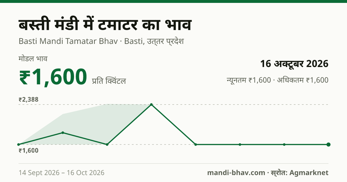 बस्ती मंडी में टमाटर का भाव 16 अक्टूबर 2026: मोडल ₹1,600 प्रति क्विंटल, भाव के रुझान का चार्ट