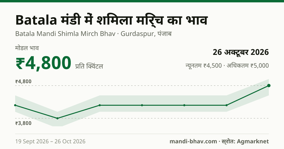 Batala मंडी में शिमला मिर्च का भाव 26 अक्टूबर 2026: मोडल ₹4,800 प्रति क्विंटल, भाव के रुझान का चार्ट