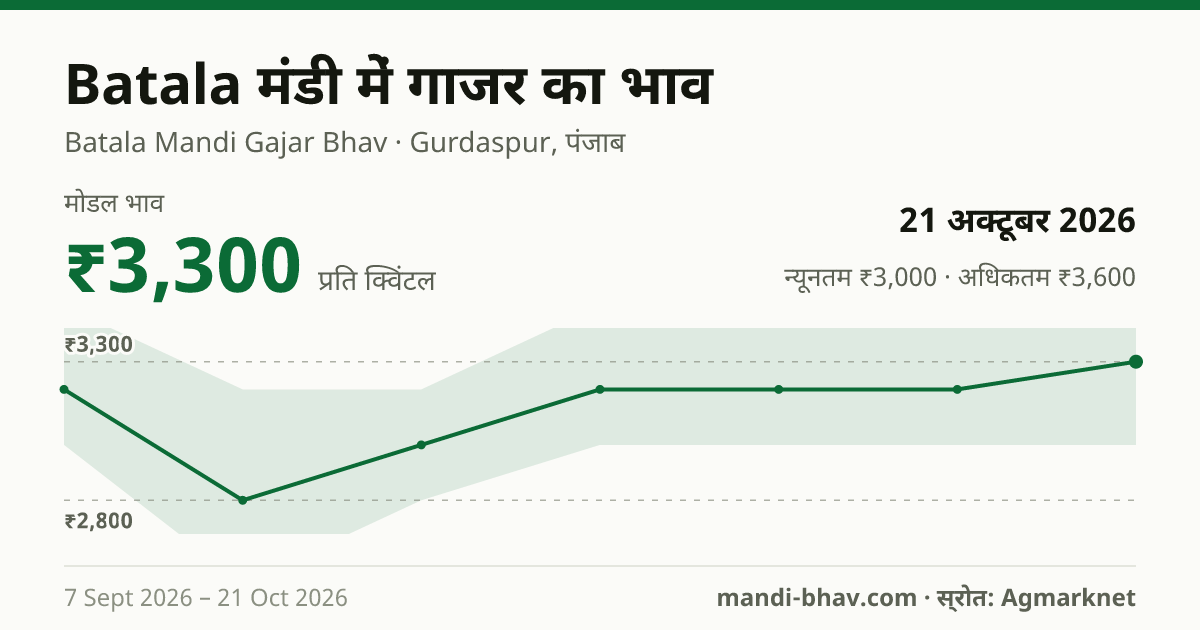 Batala मंडी में गाजर का भाव 21 अक्टूबर 2026: मोडल ₹3,300 प्रति क्विंटल, भाव के रुझान का चार्ट