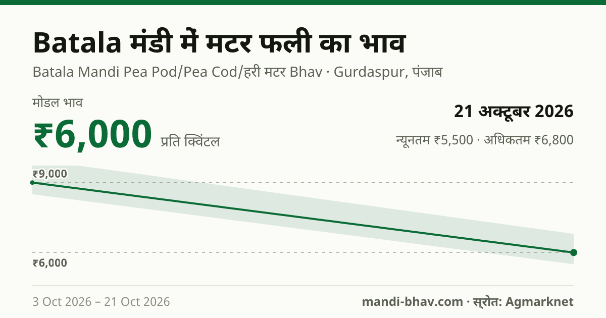 Batala मंडी में मटर फली का भाव 21 अक्टूबर 2026: मोडल ₹6,000 प्रति क्विंटल, भाव के रुझान का चार्ट