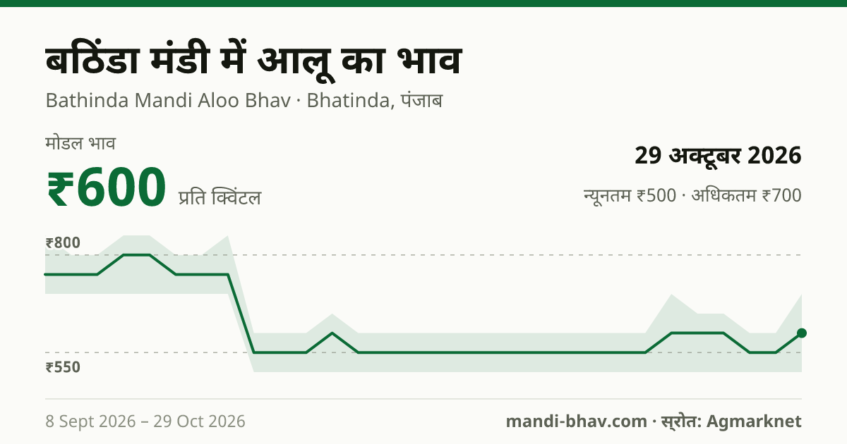 बठिंडा मंडी में आलू का भाव 29 अक्टूबर 2026: मोडल ₹600 प्रति क्विंटल, भाव के रुझान का चार्ट
