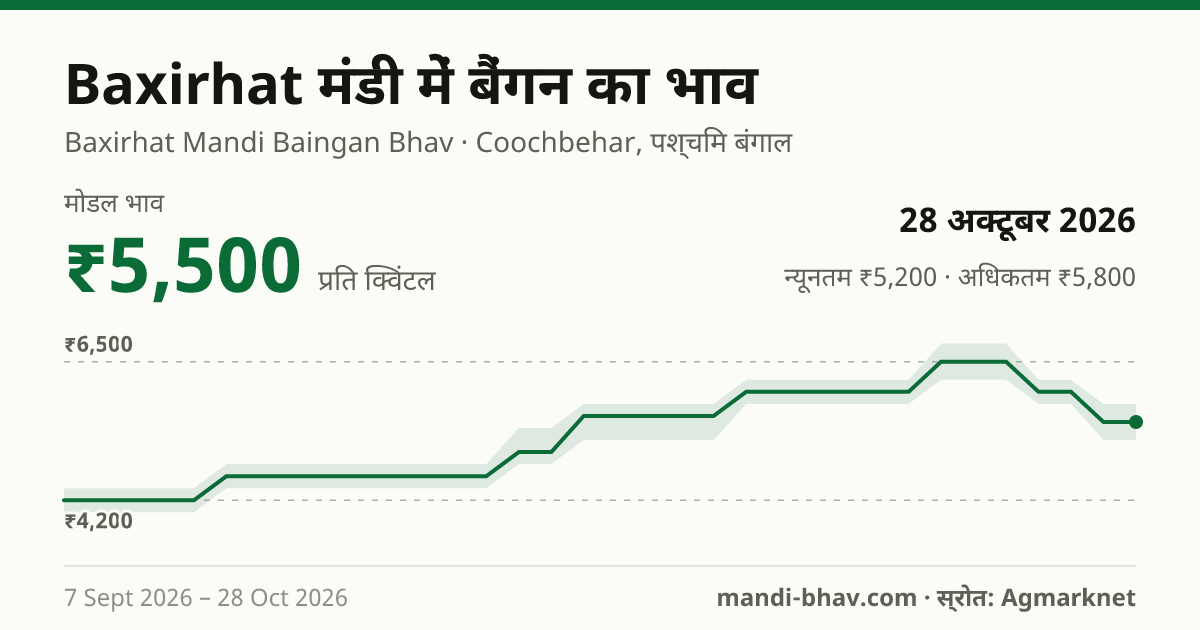 Baxirhat मंडी में बैंगन का भाव 28 अक्टूबर 2026: मोडल ₹5,500 प्रति क्विंटल, भाव के रुझान का चार्ट