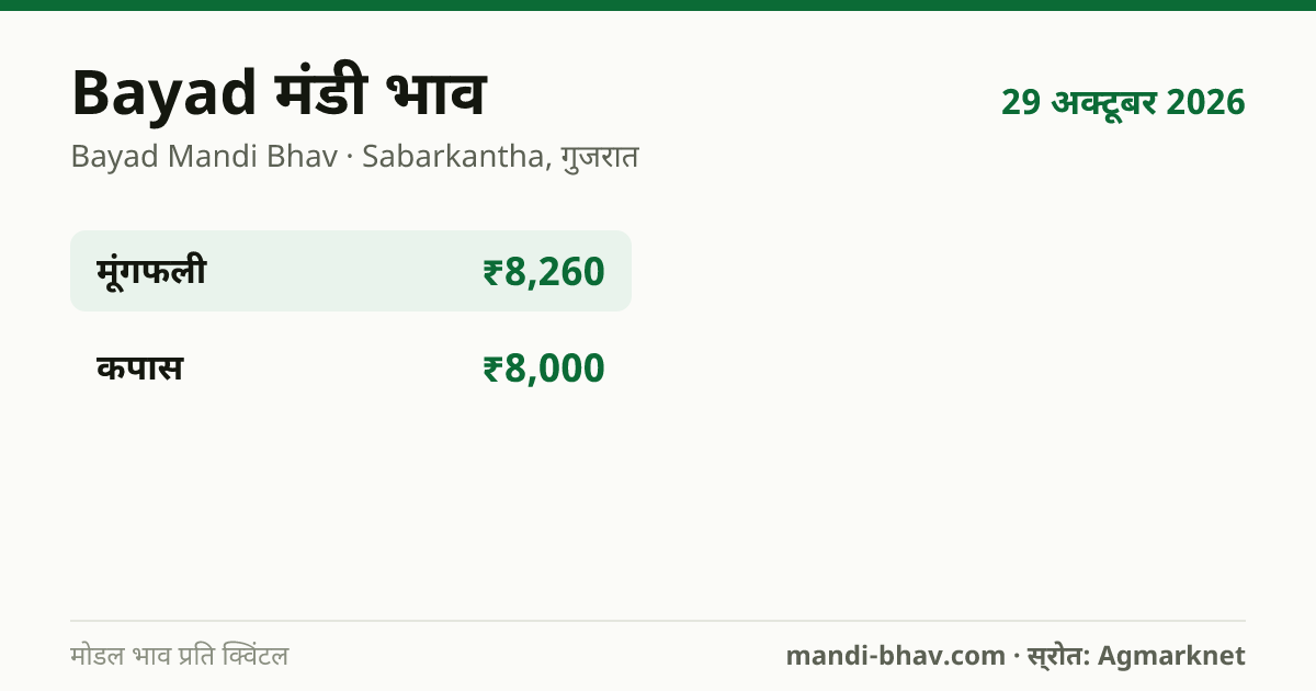 Bayad मंडी भाव 29 अक्टूबर 2026: फसलवार मोडल रेट प्रति क्विंटल