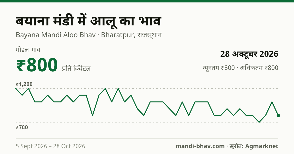 बयाना मंडी में आलू का भाव 28 अक्टूबर 2026: मोडल ₹800 प्रति क्विंटल, भाव के रुझान का चार्ट
