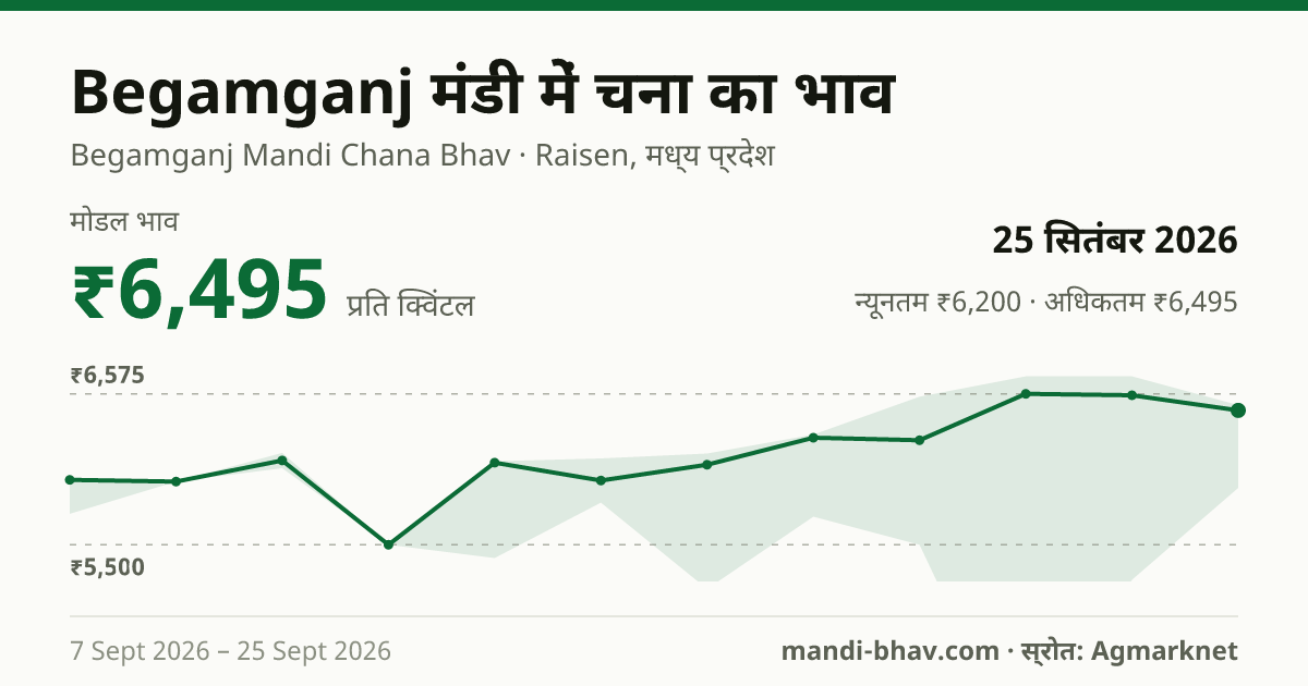 Begamganj मंडी में चना का भाव 25 सितंबर 2026: मोडल ₹6,495 प्रति क्विंटल, भाव के रुझान का चार्ट