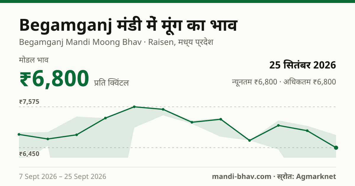 Begamganj मंडी में मूंग का भाव 25 सितंबर 2026: मोडल ₹6,800 प्रति क्विंटल, भाव के रुझान का चार्ट