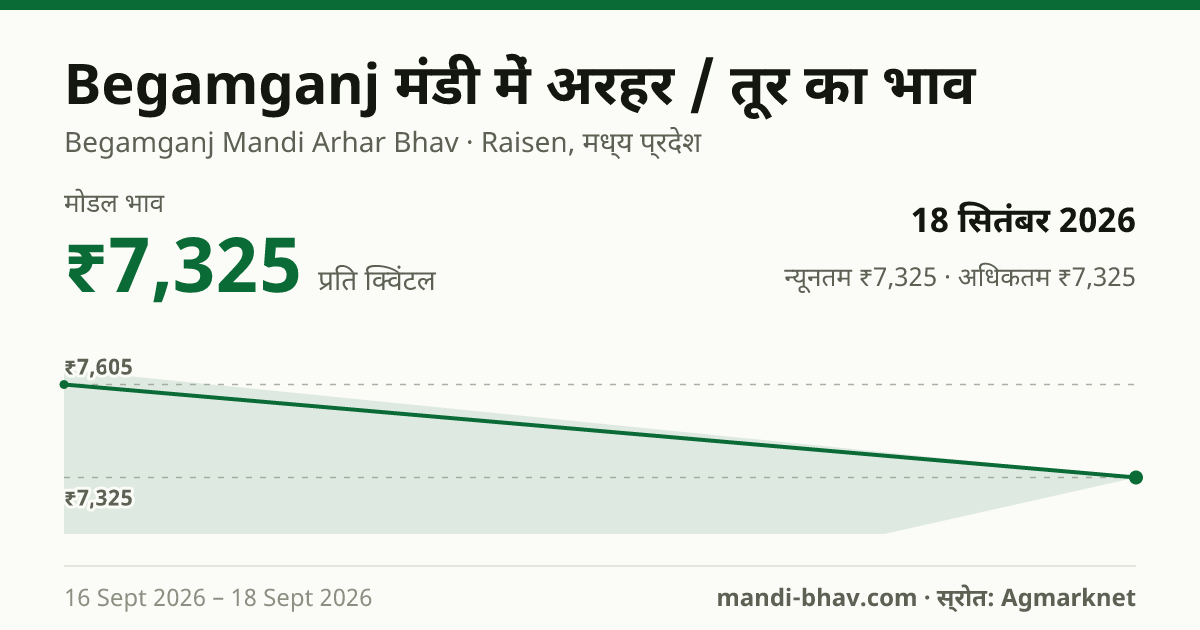 Begamganj मंडी में अरहर / तूर का भाव 18 सितंबर 2026: मोडल ₹7,325 प्रति क्विंटल, भाव के रुझान का चार्ट