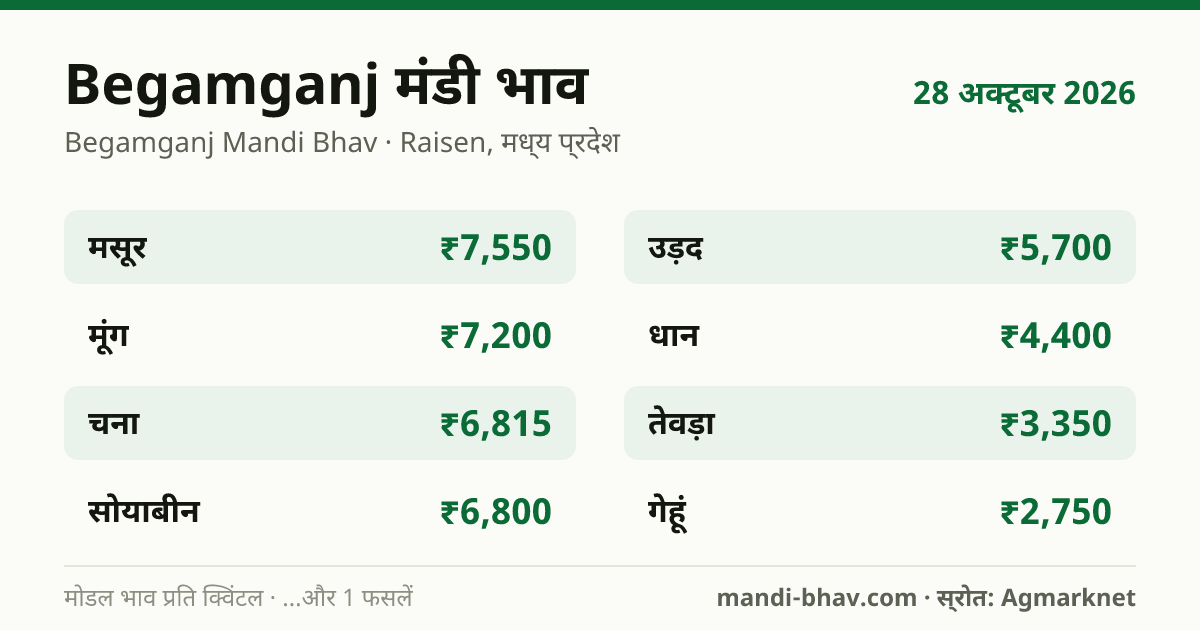 Begamganj मंडी भाव 28 अक्टूबर 2026: फसलवार मोडल रेट प्रति क्विंटल