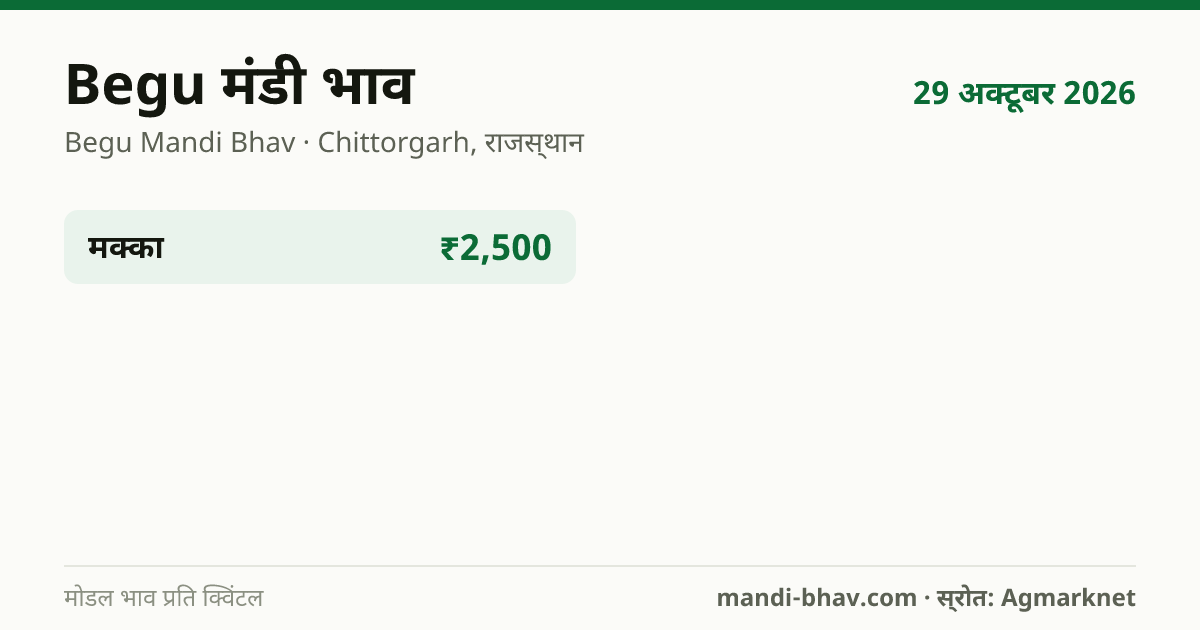 Begu मंडी भाव 29 अक्टूबर 2026: फसलवार मोडल रेट प्रति क्विंटल