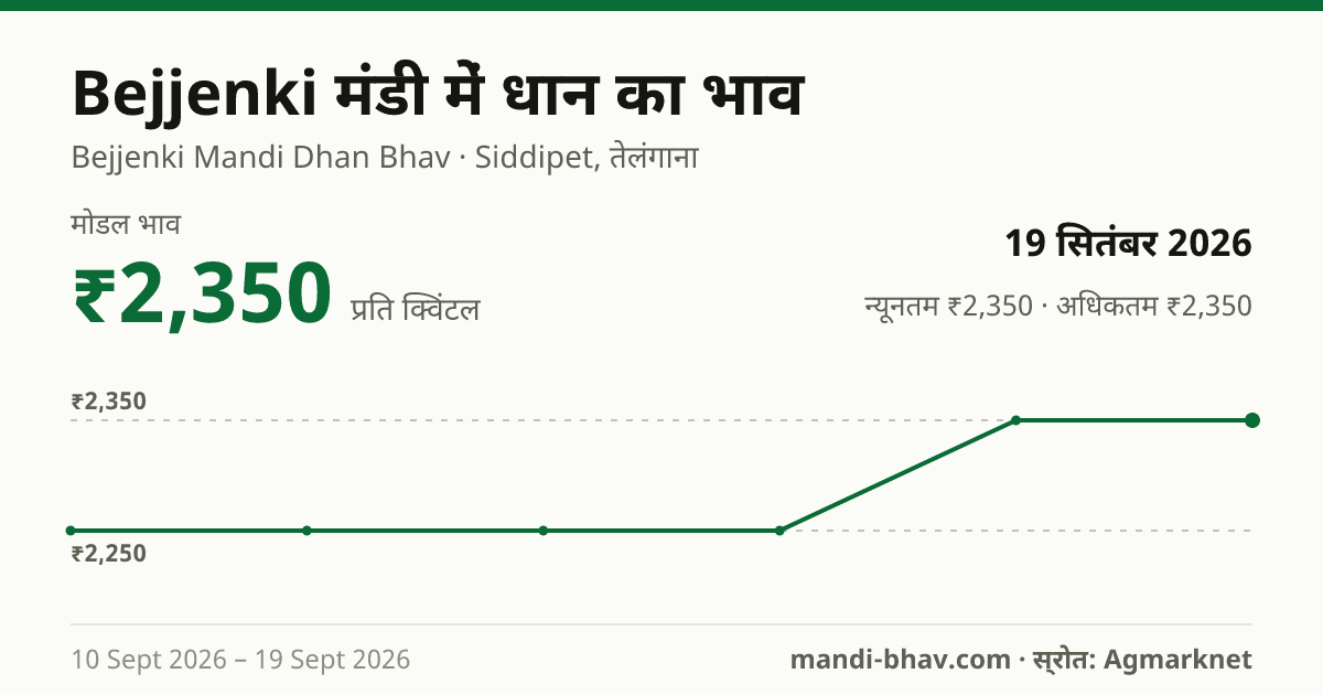 Bejjenki मंडी में धान का भाव 19 सितंबर 2026: मोडल ₹2,350 प्रति क्विंटल, भाव के रुझान का चार्ट