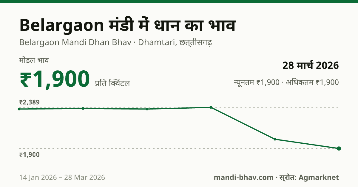 Belargaon मंडी में धान का भाव 28 मार्च 2026: मोडल ₹1,900 प्रति क्विंटल, भाव के रुझान का चार्ट