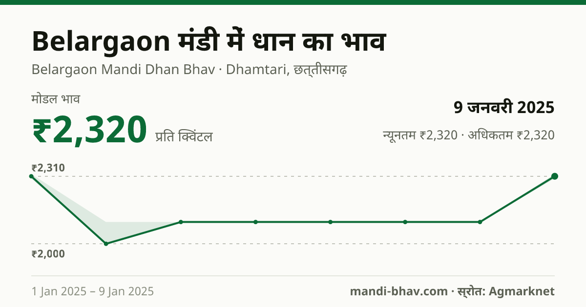 Belargaon मंडी में धान का भाव 9 जनवरी 2025: मोडल ₹2,320 प्रति क्विंटल, भाव के रुझान का चार्ट