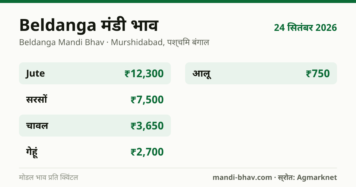 Beldanga मंडी भाव 24 सितंबर 2026: फसलवार मोडल रेट प्रति क्विंटल