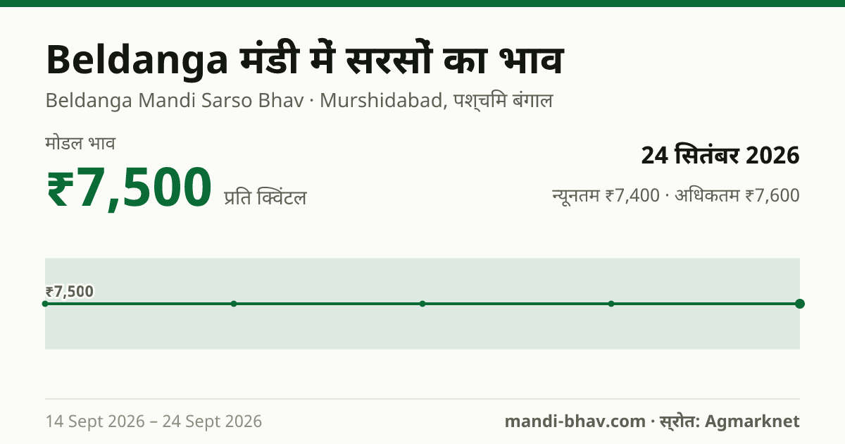 Beldanga मंडी में सरसों का भाव 24 सितंबर 2026: मोडल ₹7,500 प्रति क्विंटल, भाव के रुझान का चार्ट