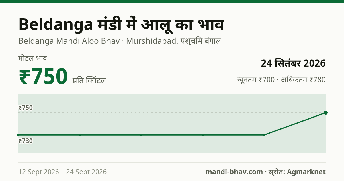 Beldanga मंडी में आलू का भाव 24 सितंबर 2026: मोडल ₹750 प्रति क्विंटल, भाव के रुझान का चार्ट