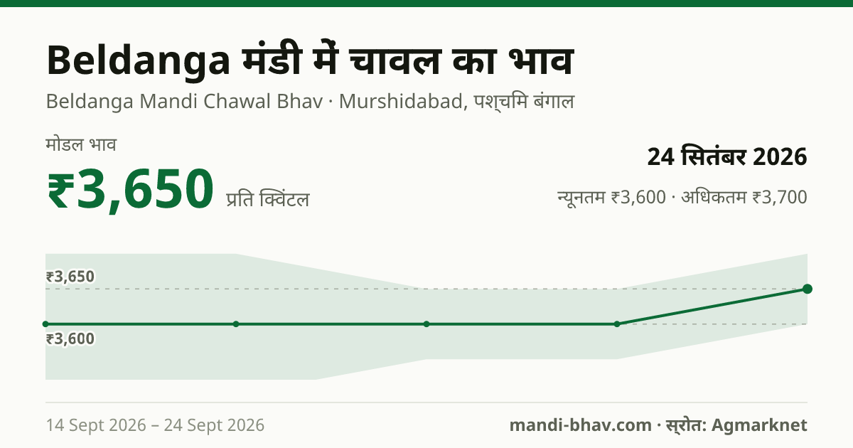 Beldanga मंडी में चावल का भाव 24 सितंबर 2026: मोडल ₹3,650 प्रति क्विंटल, भाव के रुझान का चार्ट