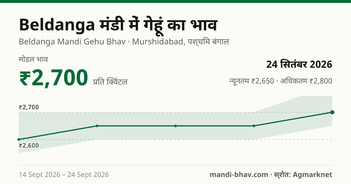 Beldanga मंडी में गेहूं का भाव 24 सितंबर 2026: मोडल ₹2,700 प्रति क्विंटल, भाव के रुझान का चार्ट