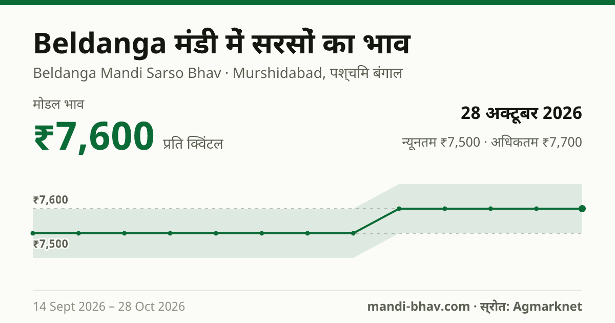 Beldanga मंडी में सरसों का भाव 28 अक्टूबर 2026: मोडल ₹7,600 प्रति क्विंटल, भाव के रुझान का चार्ट