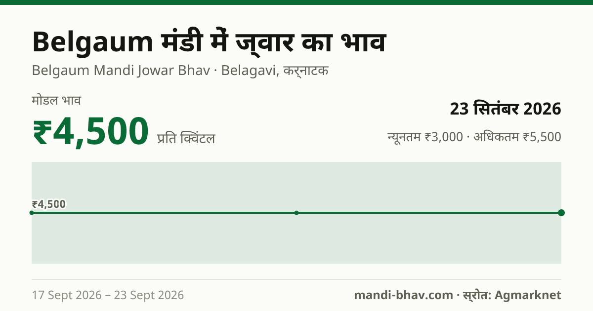 Belgaum मंडी में ज्वार का भाव 23 सितंबर 2026: मोडल ₹4,500 प्रति क्विंटल, भाव के रुझान का चार्ट