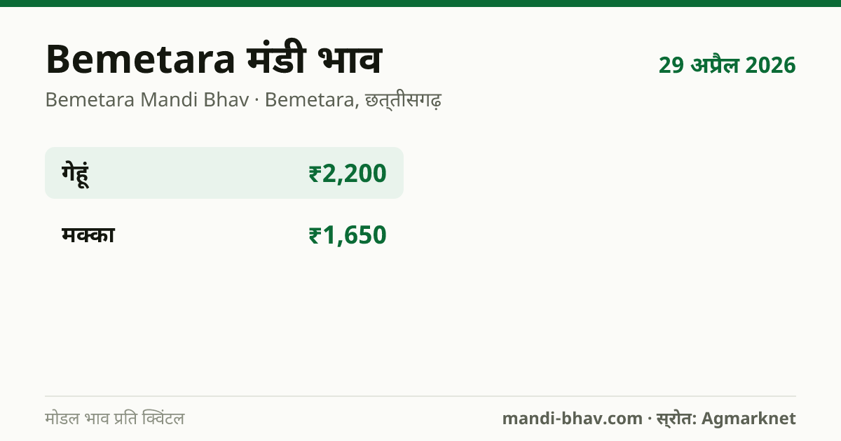 Bemetara मंडी भाव 29 अप्रैल 2026: फसलवार मोडल रेट प्रति क्विंटल